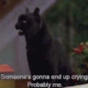 Meet your Posher, Jacqueline